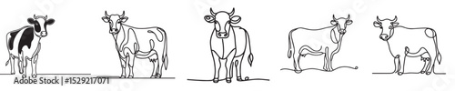 continuous line style cow vector