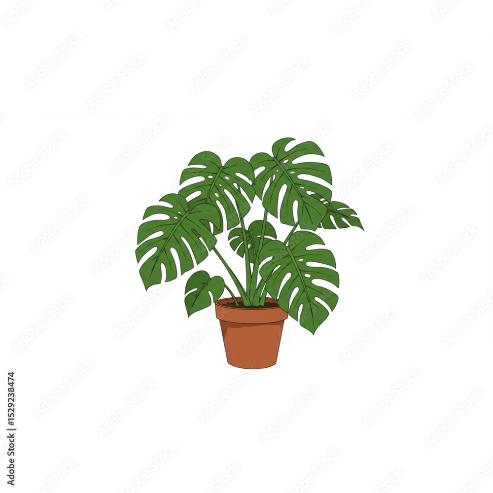 Obraz premium Elegant Monstera Deliciosa Plant Potted in a Brown Pot Perfect for Home Decor Botanical Design