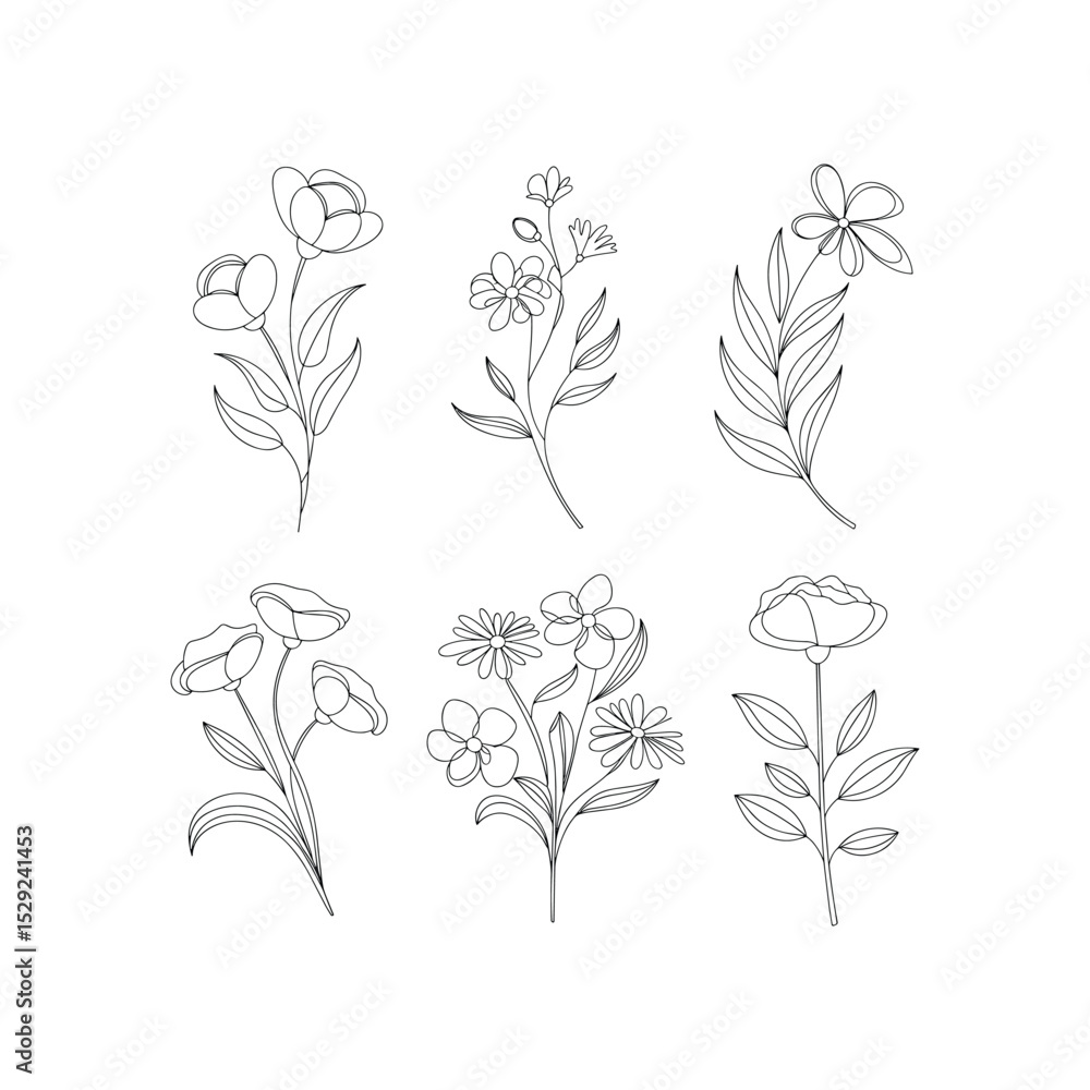 Minimal Hand Drawn Wildflower Line Art Set on White Background