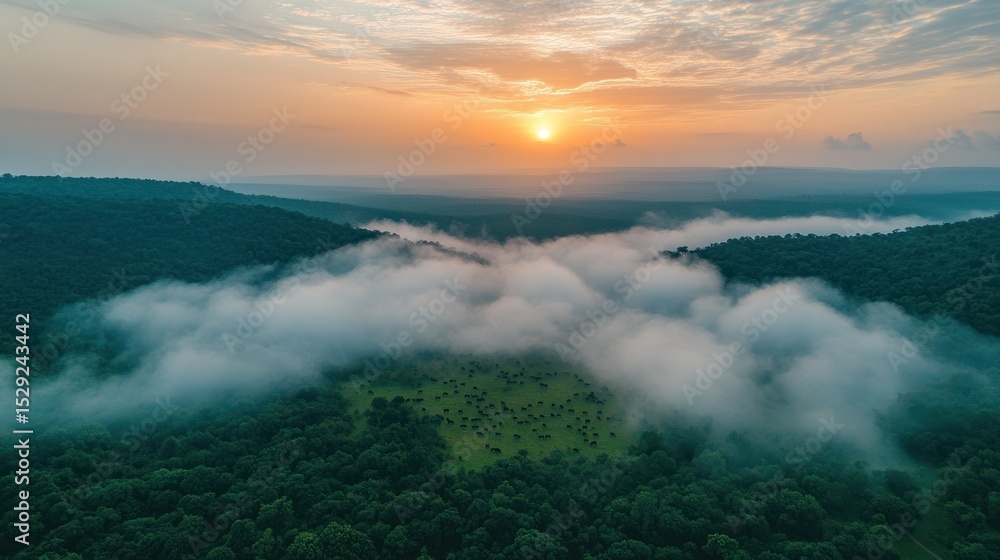 Naklejka premium Misty sunrise over valley