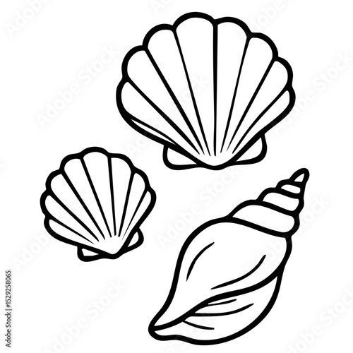 Muscheln Set Outlines