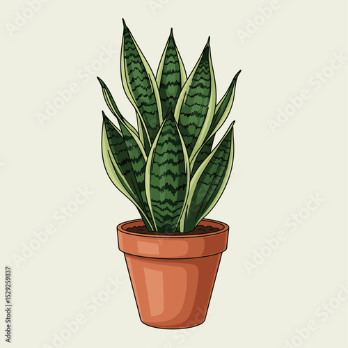 Vibrant Snake Plant in Terracotta Pot Brightens Any Indoor Space Elegant Green Foliage