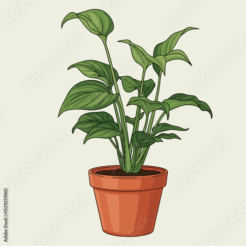 Lush peace lily plant in terracotta pot capturing natural beauty and freshness
