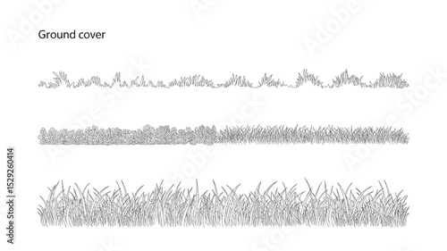 Ground Cover Plants and Grass Line Art
