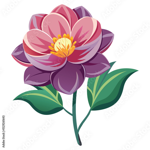 Single pink and purple dahlia flower illustration