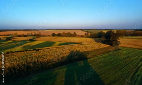 Wallpaper Mural Film a quiet drone glide over an abandoned rural farmhouse surrounded by overgrown fields and golden wheat under soft blue twilight skies. Emphasize faded textures and gentle movements to suggest nost Torontodigital.ca