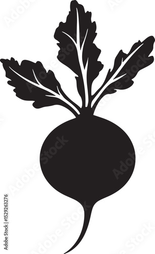 Beetroot Silhouette Vector Illustration on White Background.
