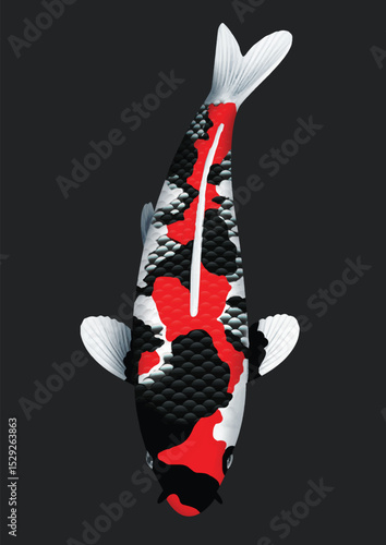 black and white koi fish
