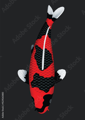 black and white koi fish