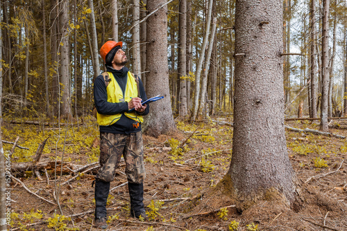 Forest engineer, ecologist works in the forest.