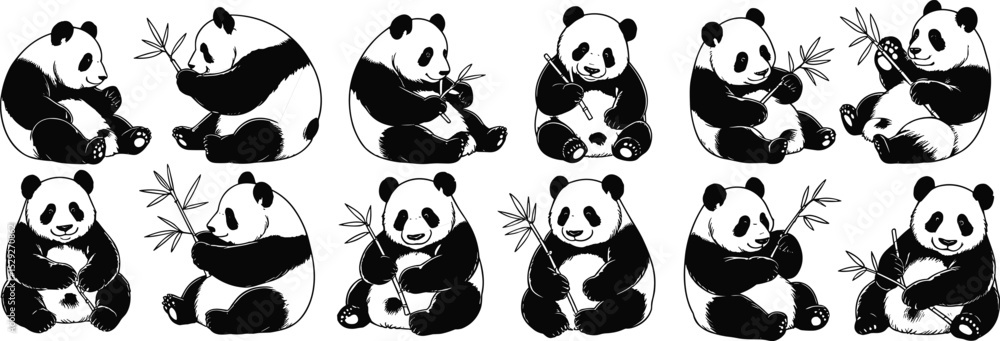 Fototapeta premium Cute panda illustration set, cartoon pandas eating bamboo, adorable animal vector collection, sitting bear designs, black and white wildlife drawingsflat vector illustration