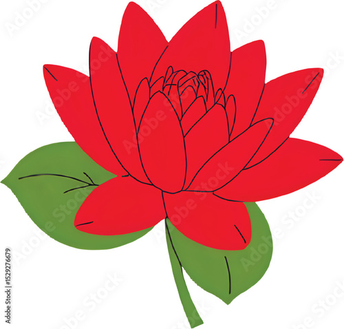 : vector of a red waterlily with two green leaves