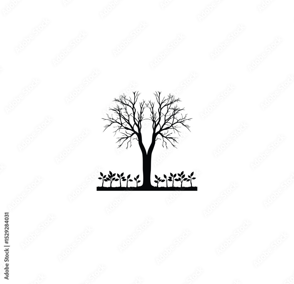 Fototapeta premium A tree split in two with new saplings growing at its base silhouette on white background