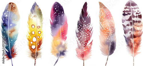 Watercolor Feathers Vector Illustration on White Background