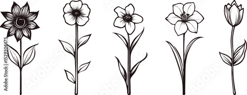 Set of five hand drawn flowers sunflower poppy narcissus lily and tulip vector illustration isolated on white background concept for print web design banner poster sticker card and textile design