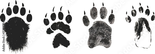 Set of four bear paw prints in different styles vector illustration isolated on white background for wildlife animal track footprint predator hunting zoology and wilderness concepts