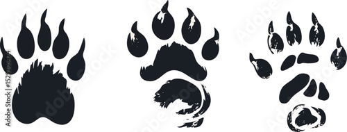 Set of three bear paw prints vector illustrations isolated on white background grunge style design elements for wildlife themes logos tattoos and branding