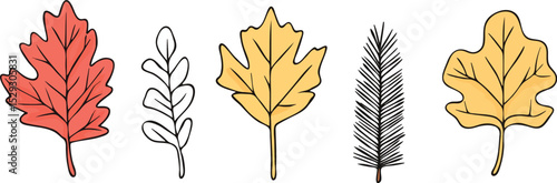 Set of five colorful autumn leaves vector illustration isolated on white background concept for print web design banner poster sticker card and textile design