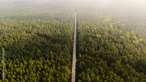 Droga przez las, widok z drona, świętokrzyskie Polska © Elżbieta Kaps