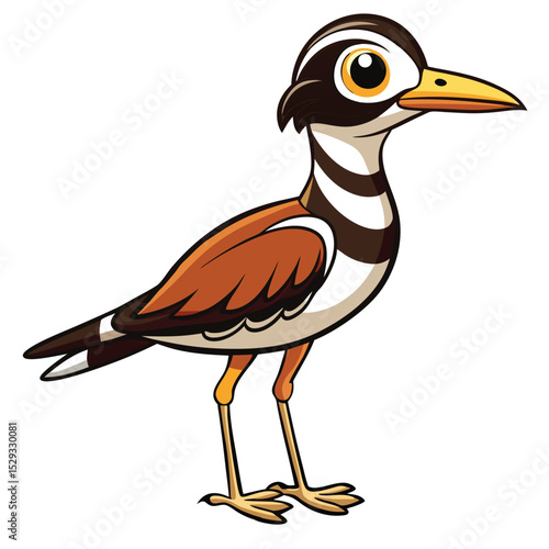 Cartoon killdeer stands poised, its vibrant plumage clearly defined against the plain background