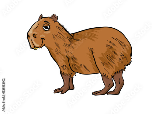 Exploring the Fascinating World and Behavior of Capybaras
