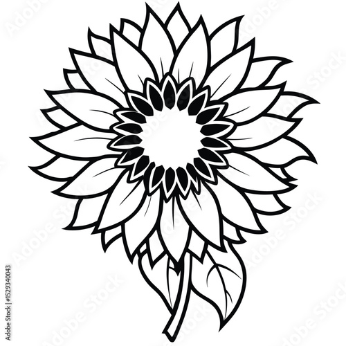 Outlined sunflower blossom displays layered petals and folliage in a striking monotone artistic vector
