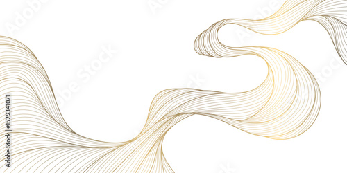 Vector line golden wave on white background, abstract flow shape, water elegant illustration. Premium art graphic, river, ocean smooth element.