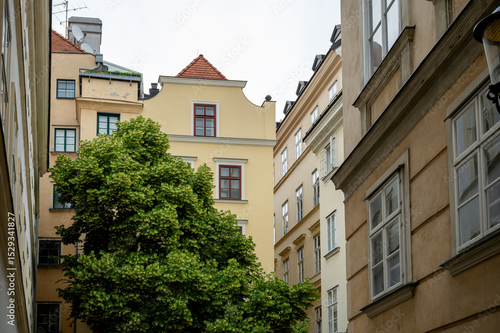 Fototapeta premium Narrow European alley with lush green tree and classic beige buildings, Vienna, Austria