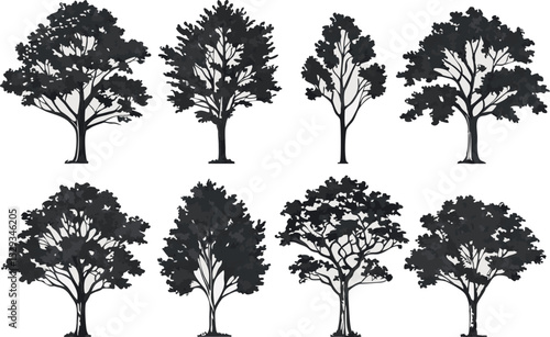 Collection of stylized silhouette trees in various shapes and detailed leaf structures