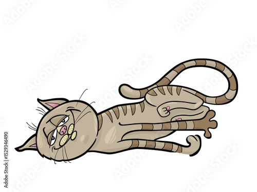 Lazy Cat Stretching Out for a Nap on a Dark Background