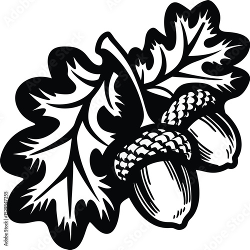 Wallpaper Mural Two acorns with textured caps are nestled beneath an oak leaf in black and white Torontodigital.ca