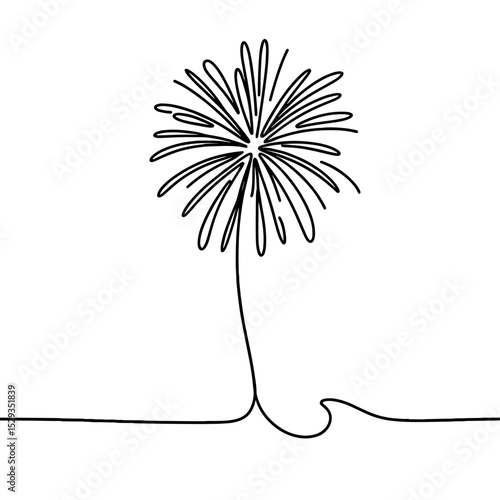 Firework explosion — Graduation celebration and finale