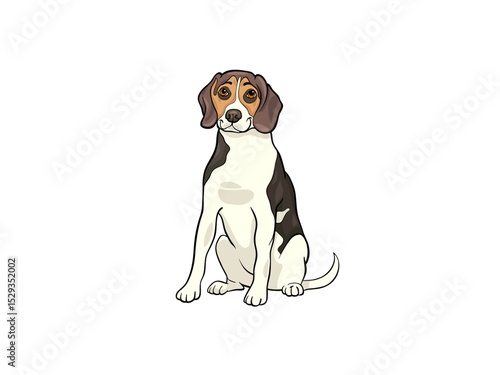 Understanding and Caring For Your Hound Dog Companion Every Day