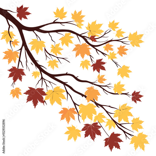 Autumn maple branch golden and crimson leaves