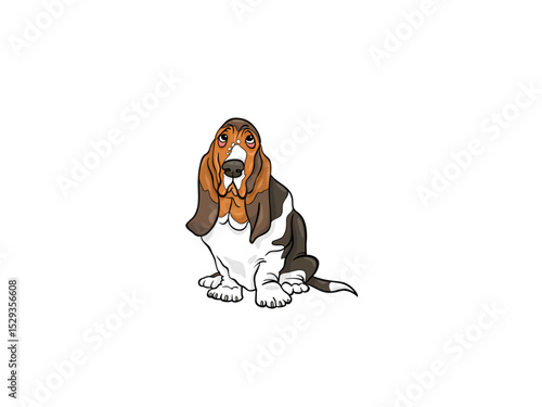 A Sad Basset Hound Sitting and Looking Upward with a Concerned Expression