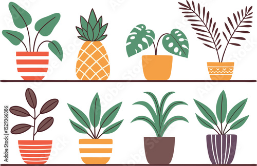 Flat vector illustration of potted plants and pineapple on shelves for design