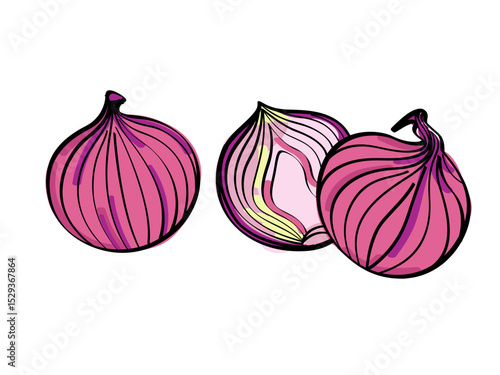 Vibrant Red Onions A Staple Ingredient in Culinary Creations and Healthy Diets