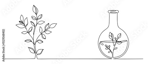 Photos plant in flask line art design