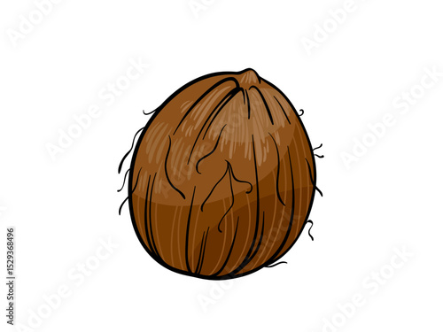 A Whole Brown Coconut With Hairy Exterior Isolated On White Background