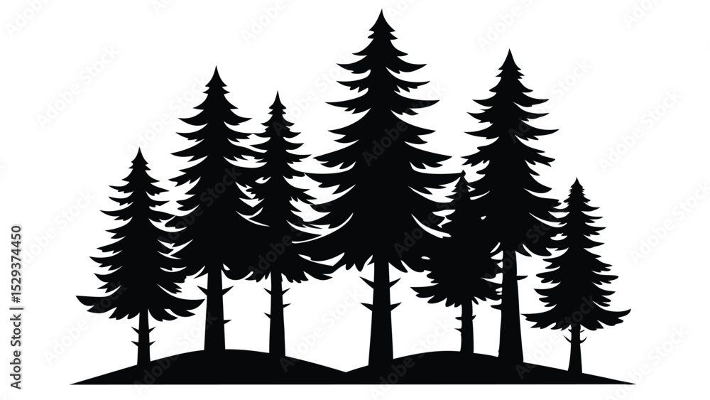 Fototapeta premium Silhouetted evergreen trees winter forest landscape
