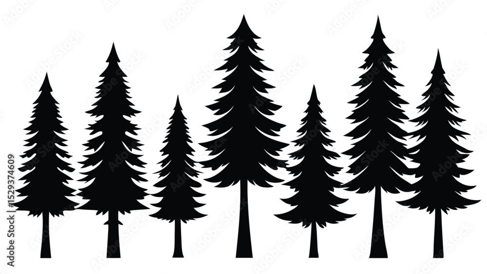 Fototapeta premium Silhouettes of evergreen trees in a forest setting