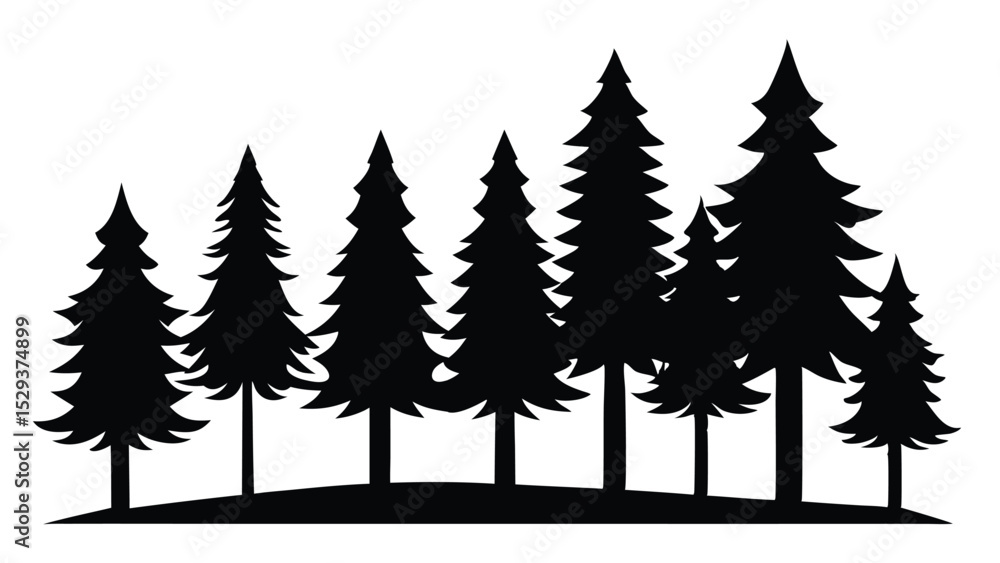 Obraz premium Silhouetted pine trees forest woodland nature landscape