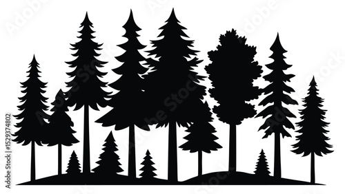 Silhouetted forest trees evergreen conifers nature landscape