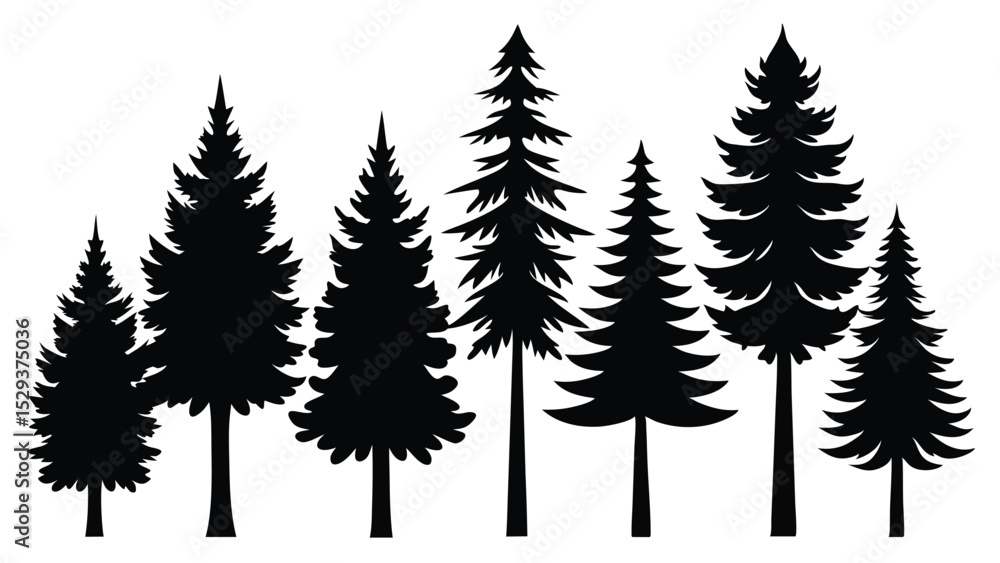 Fototapeta premium Silhouettes of evergreen trees in a row tall and short