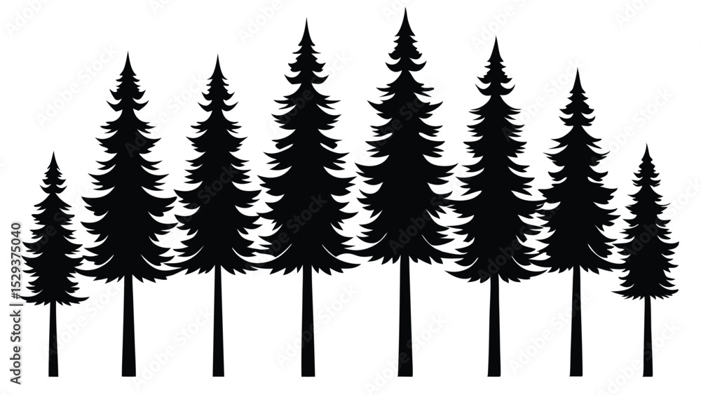 Obraz premium Silhouettes of evergreen trees in a row, various sizes