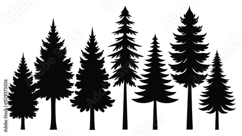 Silhouettes of evergreen trees in a row tall and short