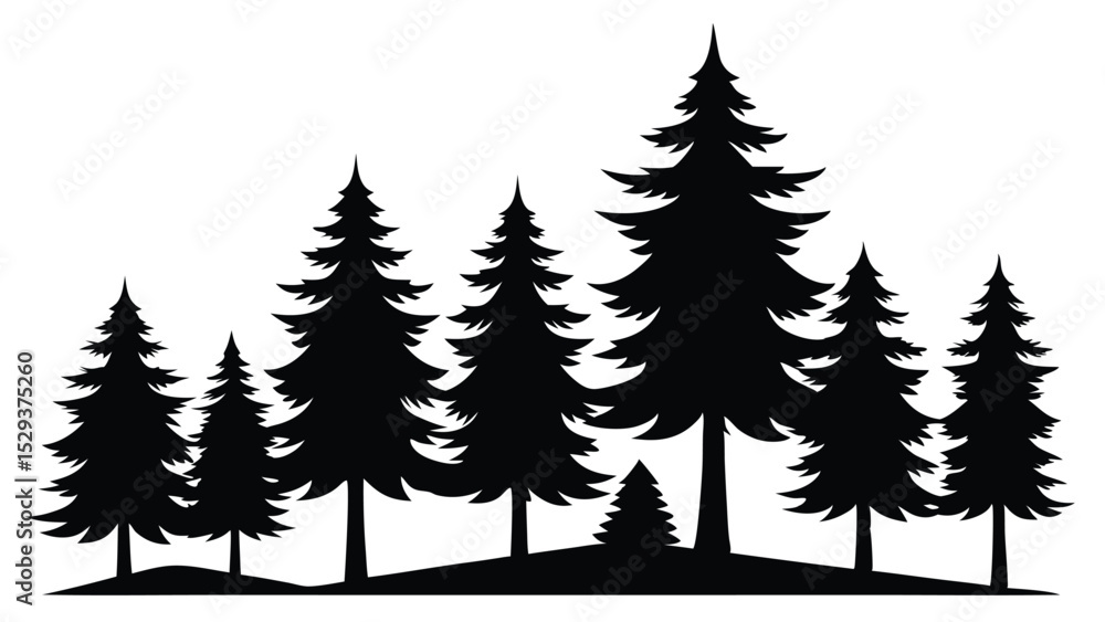 Obraz premium Silhouetted evergreen trees winter forest landscape