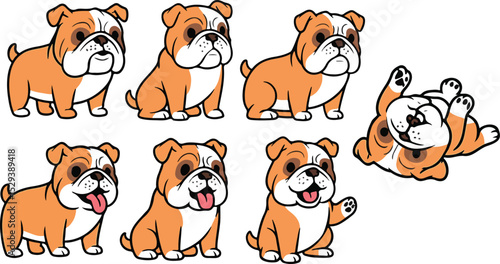 vector illustration of bulldog pitbul dog funny cute simple cartoon mascot character cartoon with 7 poses 02