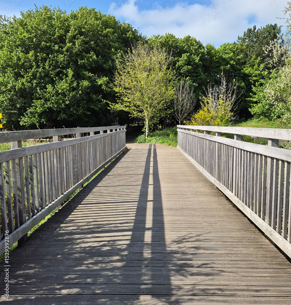 Wooden bridge in forest Wooden bridge in forest
