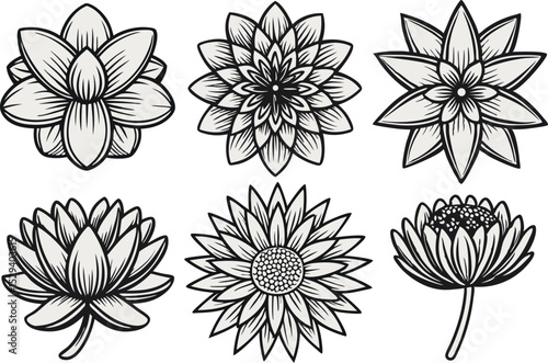 Vector illustration of six elegant black and white floral decorative elements